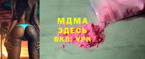 индика Вяземский