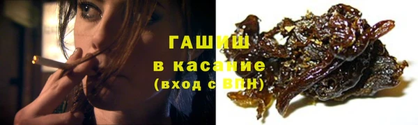 индика Вяземский