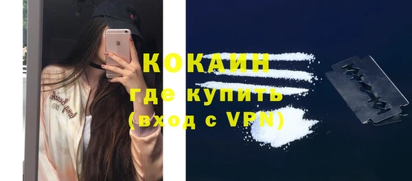 стафф Новодвинск