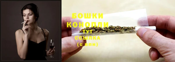 стафф Новодвинск