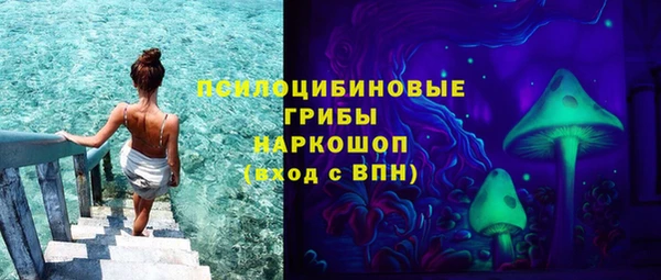 стафф Новодвинск