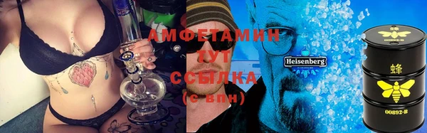 индика Вяземский