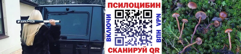 ссылка на мегу как зайти  Закаменск  Галлюциногенные грибы Psilocybine cubensis 