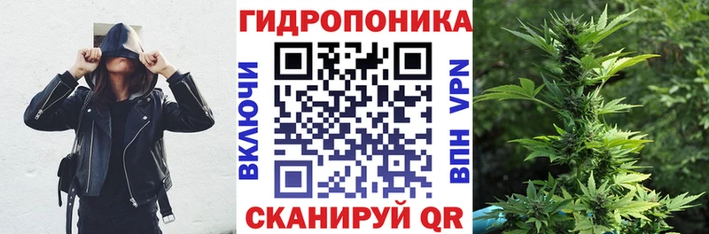 где продают MEGA сайт Конопля White Widow Закаменск